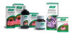 Research shows why Echinaforce� prevents colds and flu effectively