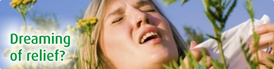 Hay Fever