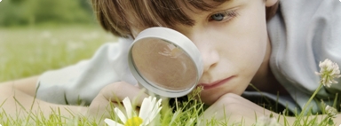 mpt�mes d'allergies