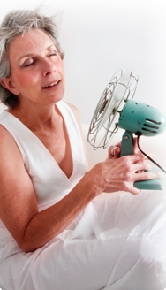 A.Vogel Menopause Feminine