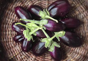 Storing eggplants
