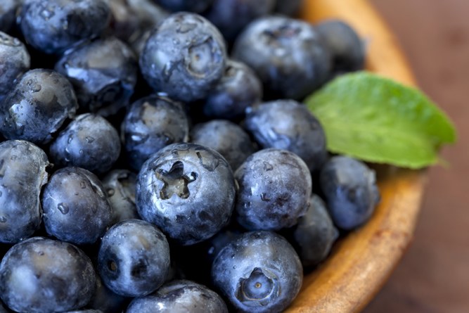 http://www.avogel.ca/images/recipe-page/blueberries-main.jpg