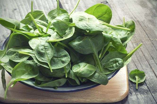 An Introduction to Spinach