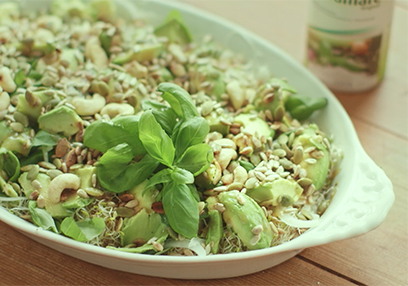 Sprouting Kit  Victorio 4 Tray Organic Alfalfa Lentil Bean Salad Sprout Mix 