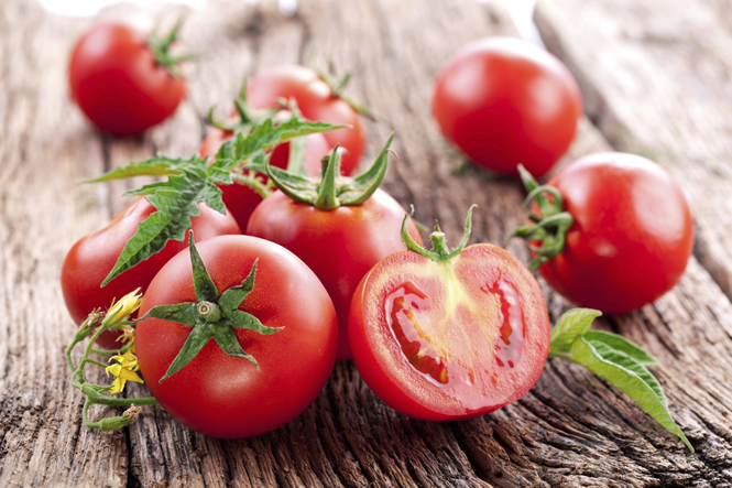 An Introduction to Tomatoes