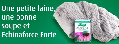 A.Vogel Echinaforce Forte