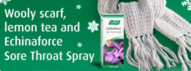 Echinaforce Sore Throat Spray