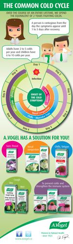 Cold and flu herbal remedies infographic