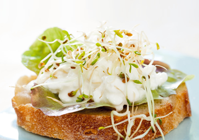 Miso Paste & Little Radish Sprout Sandwich