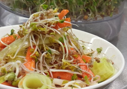Summertime Salad with Fresh Sprouts