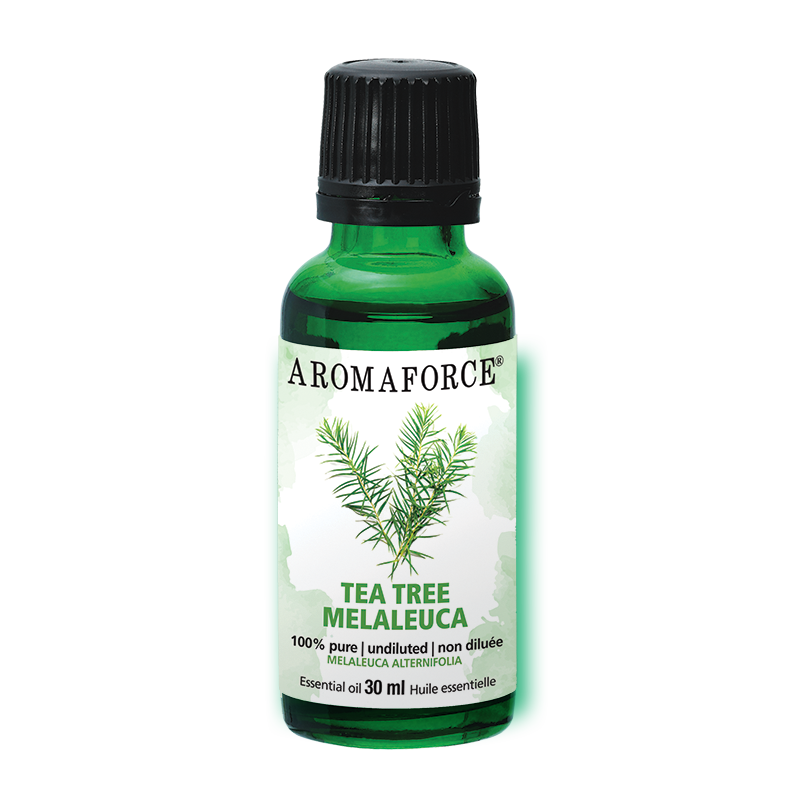 Melaleuca – Huile essentielle, 100% Pure
