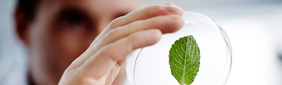 The Power of Clinically Researched Natural Health Products: A Smarter Choice for Wellness